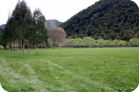Owen River Recreation Reserve Owen River Campsite