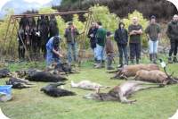 2009 Pig and Deer Hunting Competition 2009 Pig and Deer Hunting Competition