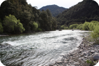 Owen River Recreation Reserve Access to Buller River at Owen River Campsite