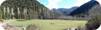 Owen River Campsite Owen River Campsite